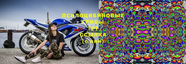 метадон Армянск