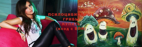 круглые Аркадак